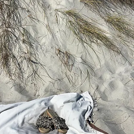 게스트하우스 Elvira 푼탈디아