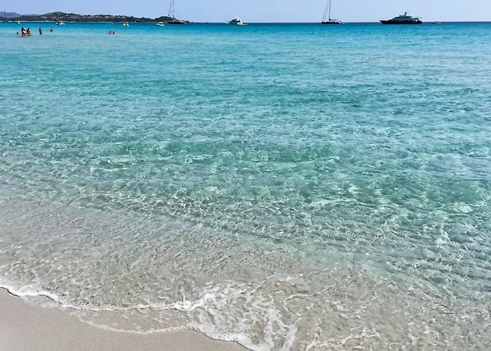 Elvira بونتالديا